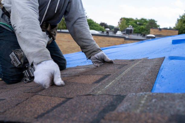 Quick and Trustworthy Emergency Roof Repair Services in Oglethorpe, GA